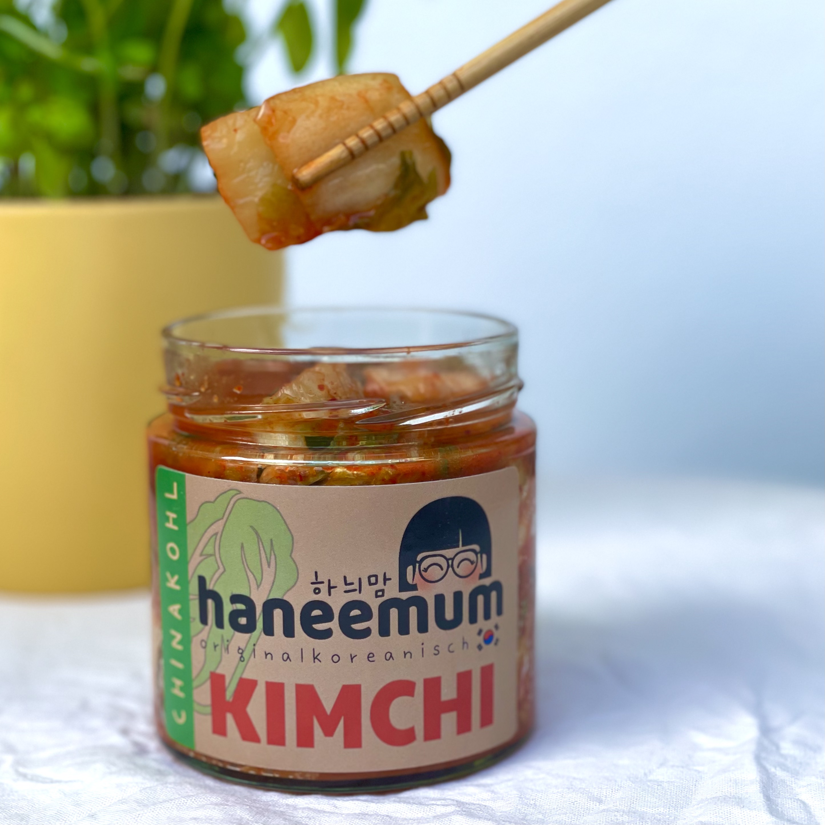 6er Set Kimchi vegan im Glas